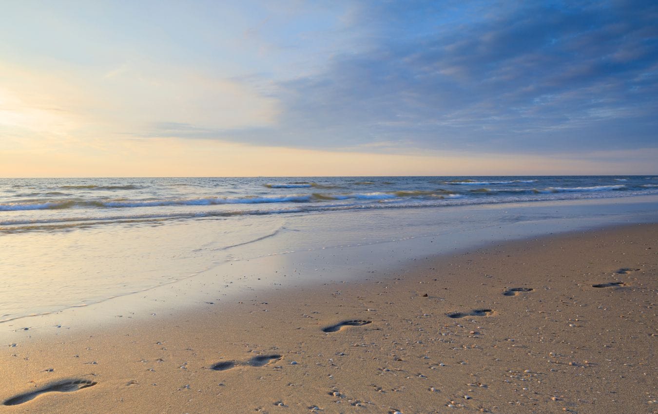 The Mindful Enterprise About Us